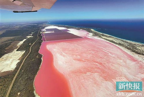 出境旅行的序章 國(guó)內(nèi)熱門(mén)打卡地盤(pán)點(diǎn)